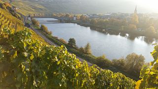 Dégustation de vins au Weingut Eifel-Pfeiffer