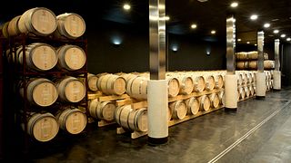 Degustazione di vini e tour alle Bodegas Sierra Salinas