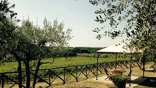 Weinprobe und Führung in der Azienda Agricola Villa Barberino Della Famiglia Nunzi Conti