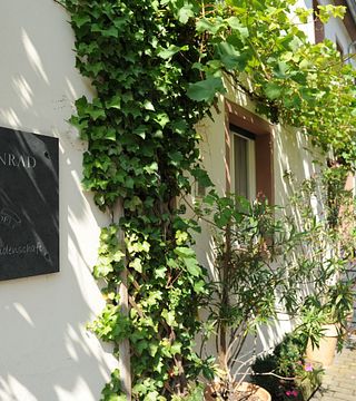 Degustação de vinhos e tour no Weingut Martin Conrad