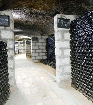 Degustação de vinhos e passeio na vinícola Kovács Nimród