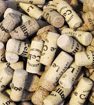 Degustazione di vini e tour a Le Celline
