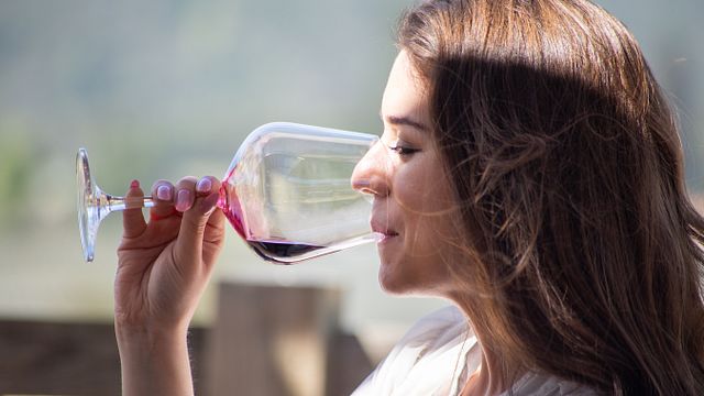 Visita a la bodega Tanagra y cata de vinos en Villard
