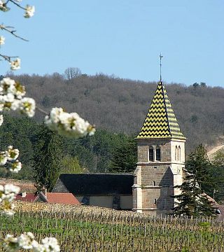 Domaine Isabelle Lippe