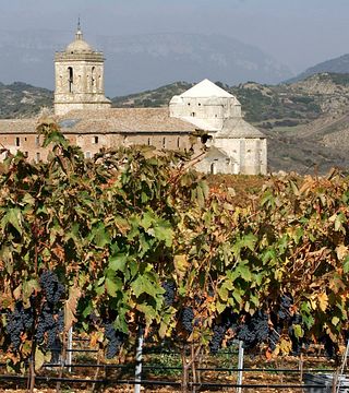 Dégustation de vins et visite du Pago De Larrainzar