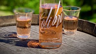 Degustação de vinhos e tour na Clos Lachance Wines
