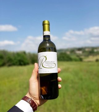 Cata de vinos y visita guiada en Giacosa Fratelli