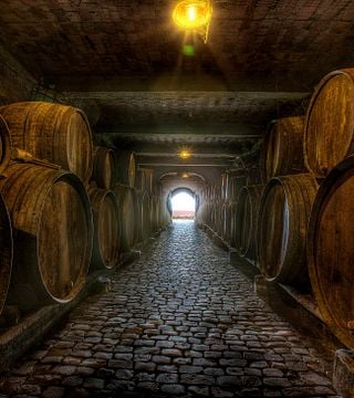 Dégustation de nos vins sous-marins