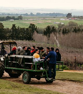 Degustação de vinhos premium e passeio em Slent Farms