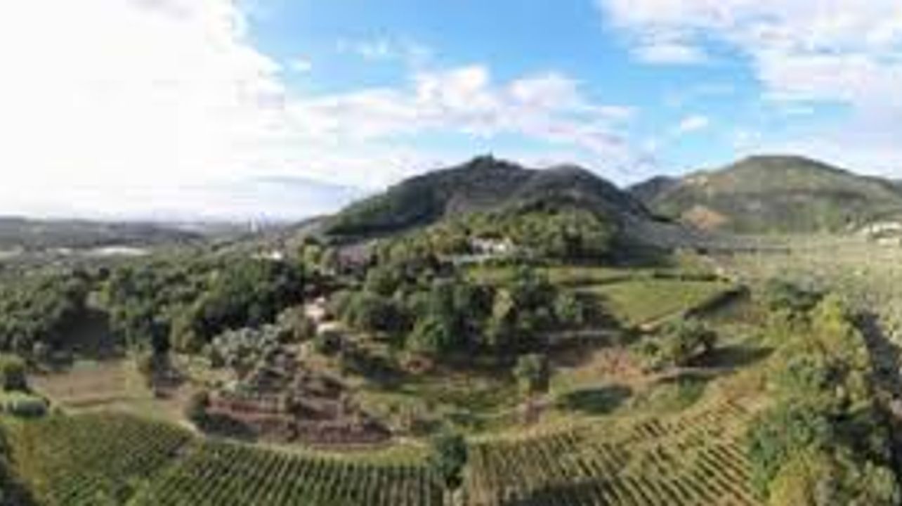 Weintour Picentini 1