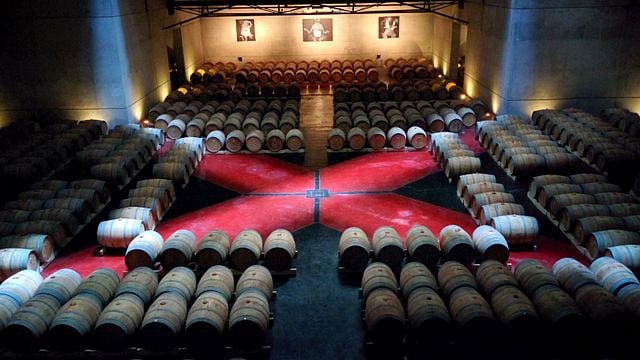 Lyxig Uco Valley Wine Tour - Privat tvåspråkig guide