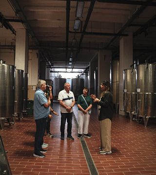  Visita a la bodega y cata de vinos clásicos en Tenute Girolamo en el Valle de Itria