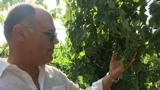 Weinprobe und Tour bei Gurrieri