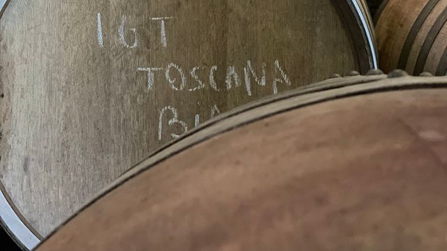 Visite et dégustation de vins chez Cosimo Maria Masini