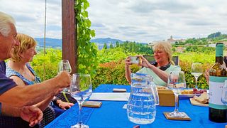 Visite exclusive des vins verts de la vallée du Douro