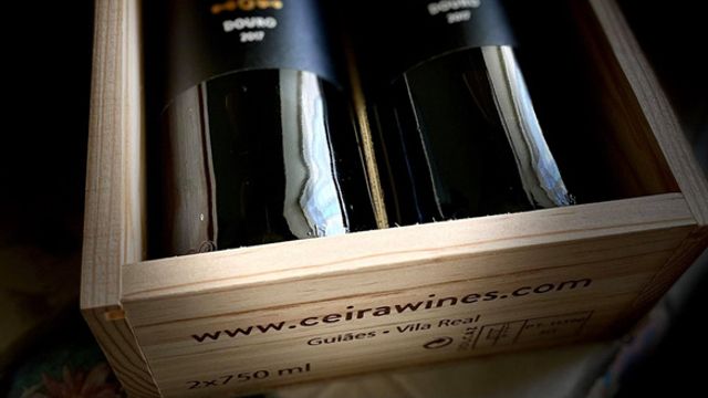 Visite privée d'une journée dans la vallée du Douro : dégustation de vin, déjeuner et visites touristiques