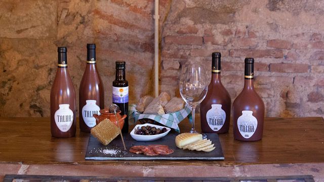 Vidigueira Premium Wine Tour