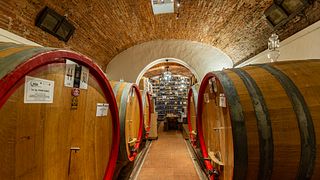 Montepulciano : visite des vignobles avec dégustation et amuse-gueules en cave