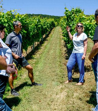 Cata de vinos y visita a la Bodega Hiruzta