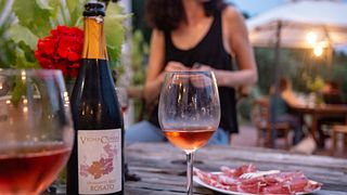 Cata de vinos en Vigna Cunial