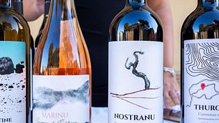 Vinprovning på Cantina Berritta