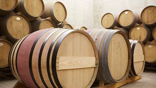 Vineyard Tour & Wine Tasting Experience