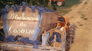 Wine Tasting and Tour at Cantina di Casorzo