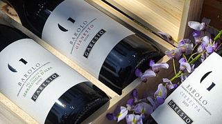 Cata de vinos y tour en Garesio