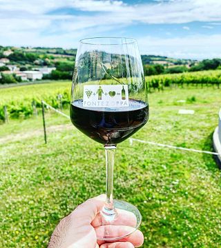 Dégustation de vins et visite à l'Agroforestale Fontezoppa