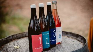 Wine tasting and tour at Celler Bàrbara Forés
