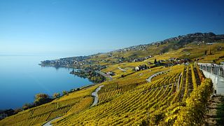 Degustazione di vini e visita al Domaine De La Crausaz