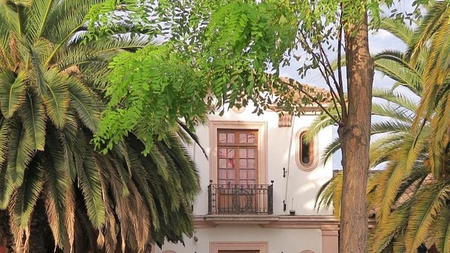 Tour Premium en Viña Laura Hartwig