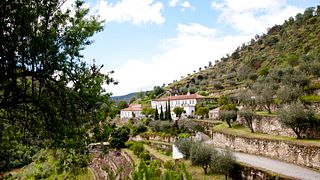 Douro Valley Tour: vinprovningar, båttur och lunch
