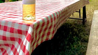 Cognac-Verkostung und Picknick im Domaine Bourgoin Cognac