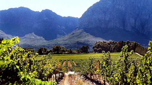 Degustazione di vini e visita ai vigneti Mellasat