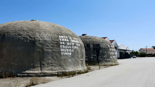 Cata de vinos y recorrido en Beira Serra Vinhos