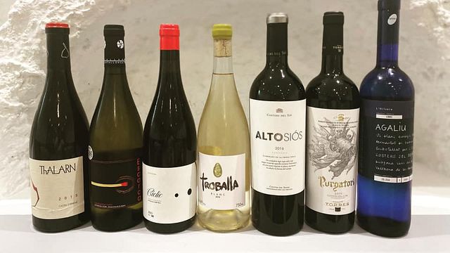 Weinprobe und Tour bei L'Olivera in Vallbona de les Monges