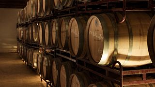 Santa Vitória Winery