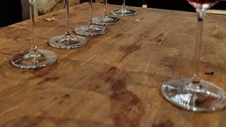 Visita y Cata en Vinos Mingaco