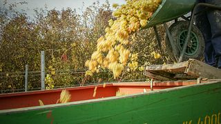 Weinrieder Winery