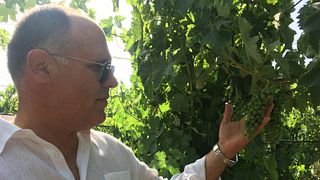 Cata de vinos y visita guiada en Gurrieri