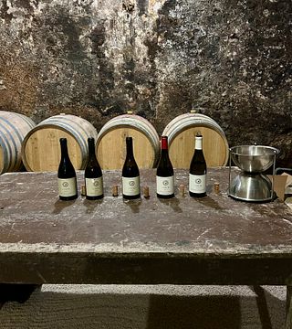 Tour privato della regione del Beaujolais, degustazioni di vini e ristorante locale