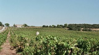 Château Le Devoy Martine