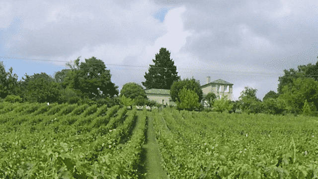 Dégustation et visite des vins du Domaine de Beyssac