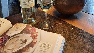 Visite et dégustation de vins au domaine viticole du Château Beaulieu