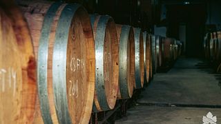 Beliebte Weinprobe bei Colinas do Douro Sociedade Agrícola