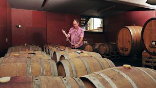Degustazione di vini e visita alla Weingut Uhinck - Steigerhof