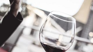 Degustação de vinhos e tour nas Bodegas Antonio Cañaveras