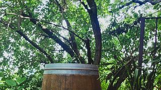 Degustação de vinhos e tour em Luretta