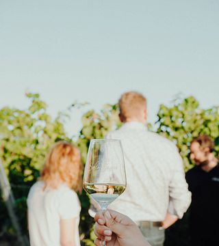 Weingut Schloss Janson